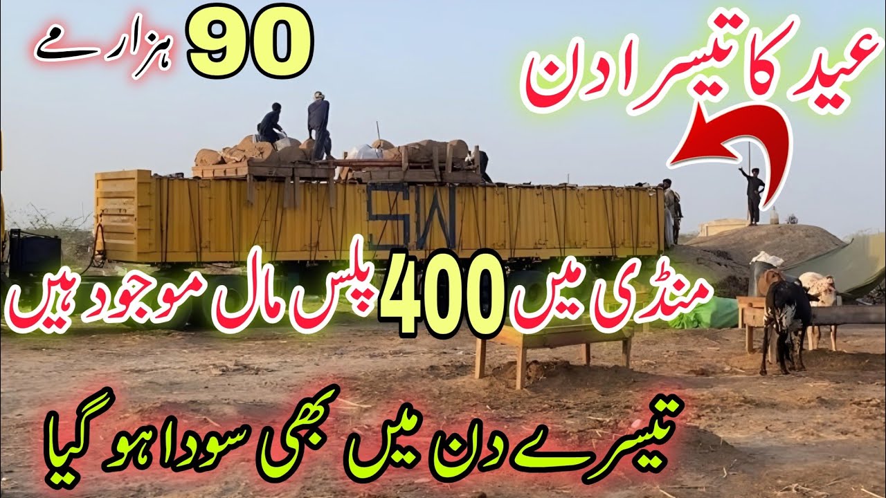 Eid Day 3 Northern Bypass Mandi Karachi Latest Rates & Bargaining 9 Jun 2025 | Bakra Eid Season 2025
