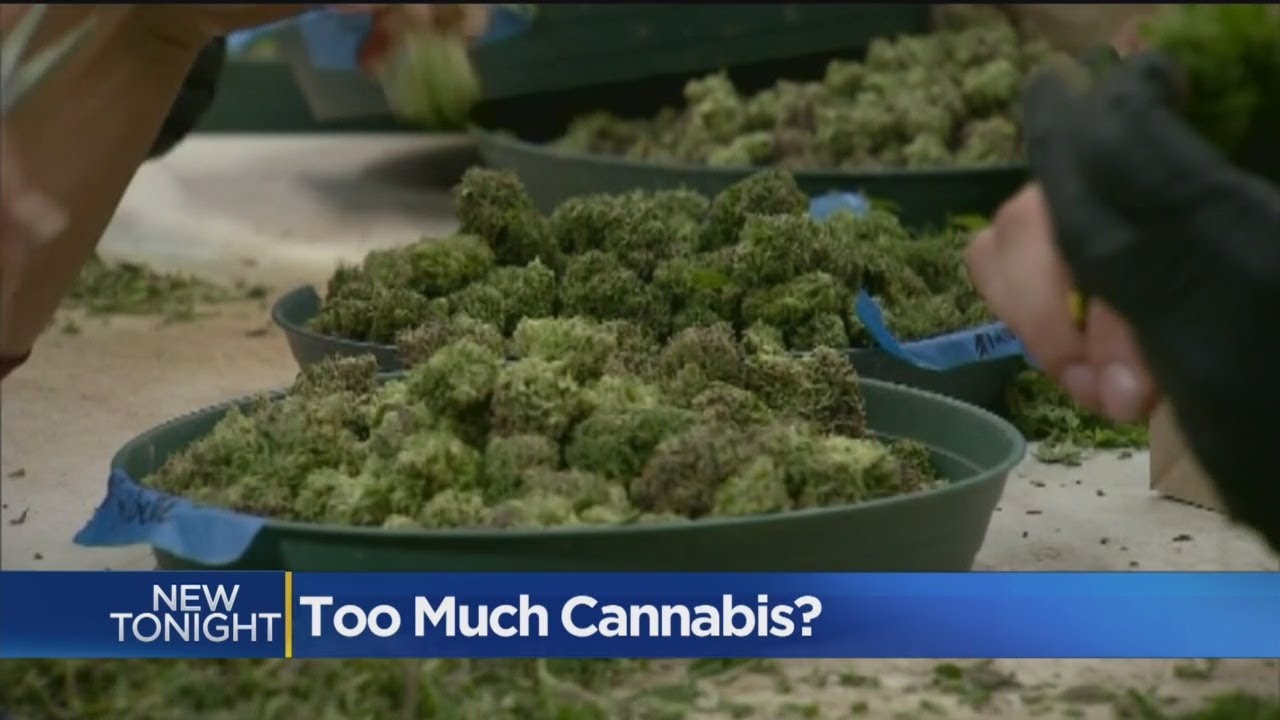 Sacramento Business Group Wants Cap On Cannabis Companies
