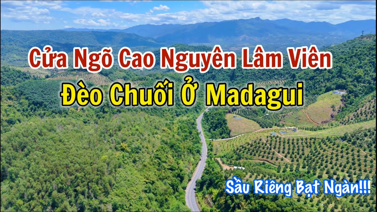 Cảnh đẹp Ngoạn mục Đèo Chuối (Madagui) Cửa ngõ bước vào cao nguyên Lâm Viên của Lâm Đồng.