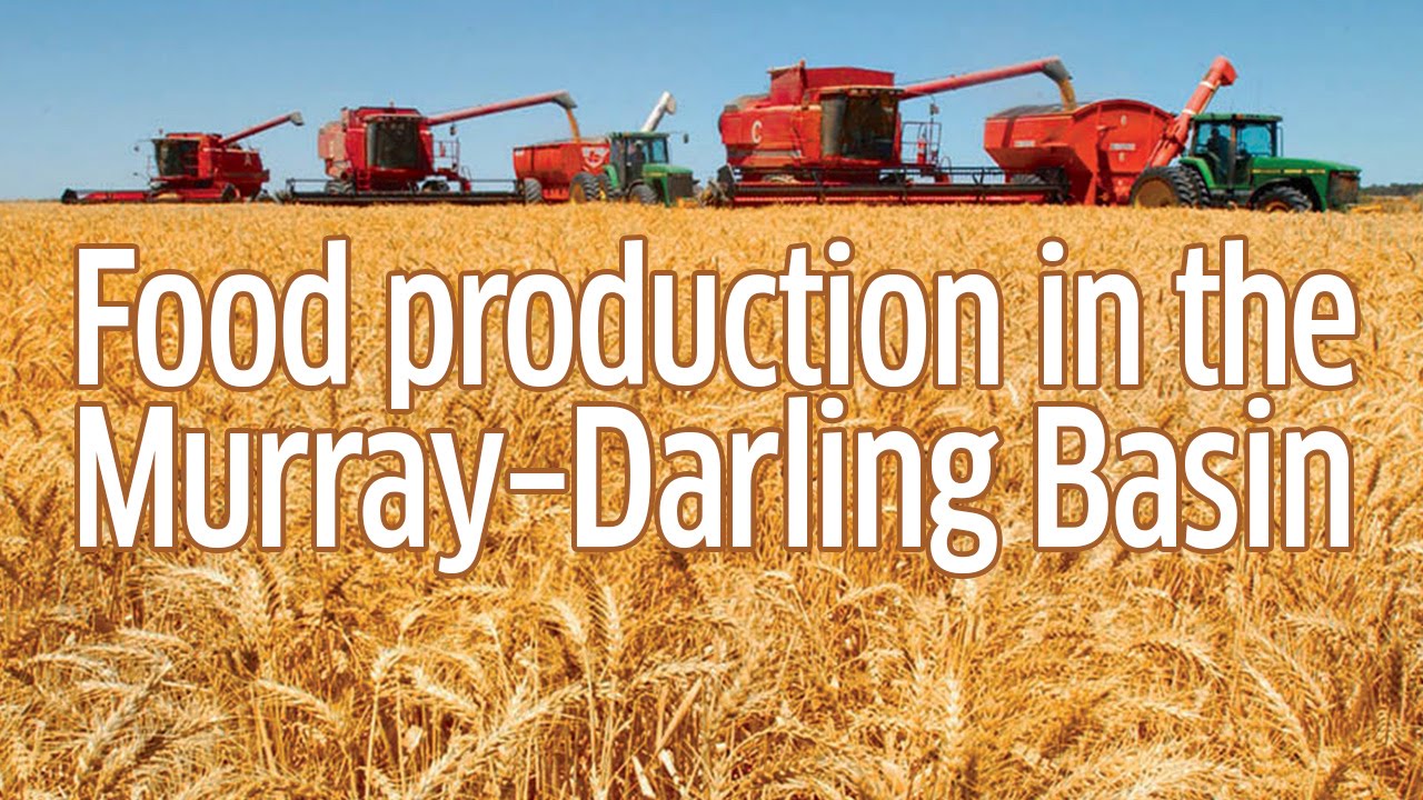 Food Production in the Murray–Darling Basin