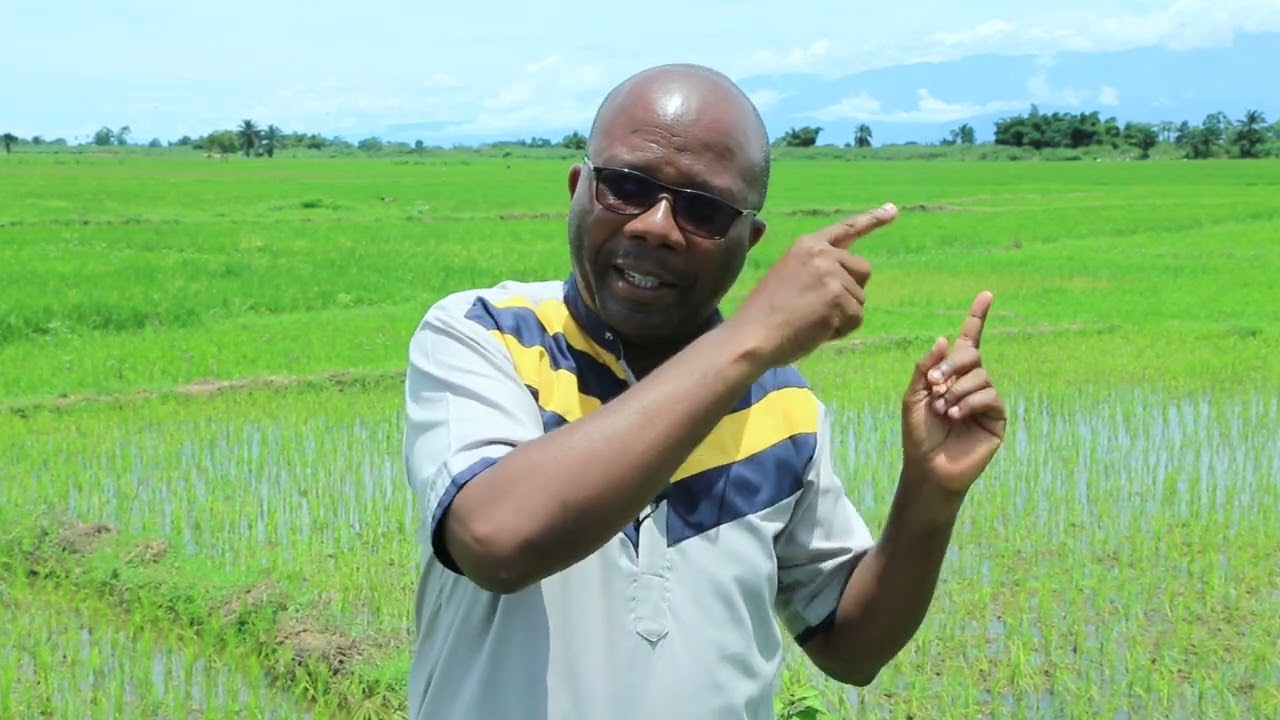 37 MBUNGABUNGA FRANCAIS: PHENOMEDE DE LA SALINITE ET SODICITE DANS LA PLAINE DE L'IMBO/ BURUNDI