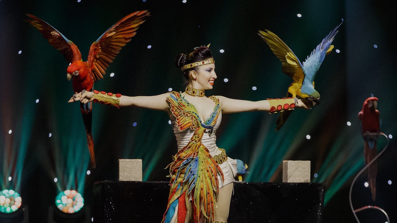Laura Urunova parrots OVAG-Variet&eacute; 2025