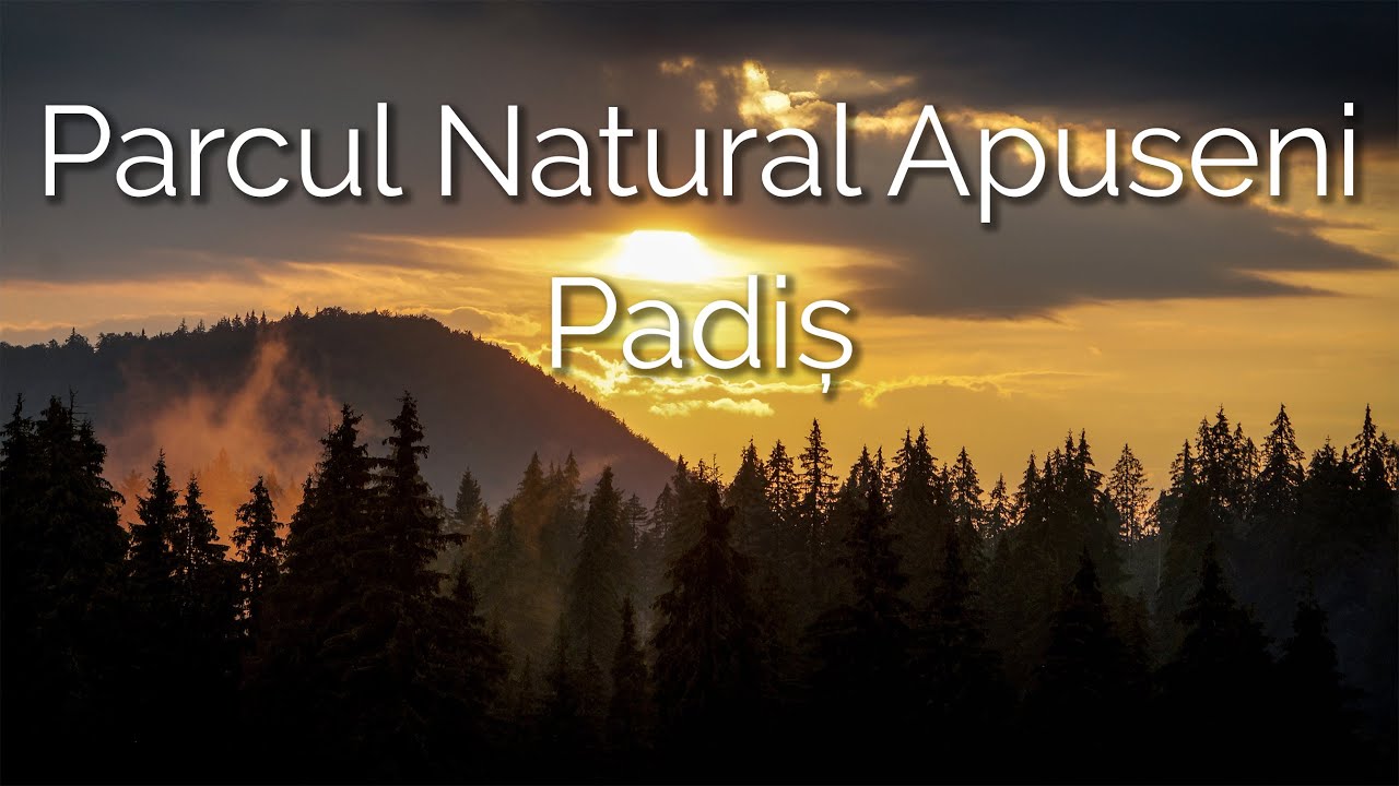 Parcul Natural Apuseni - Padis, Cetatile Ponorului, Cheile Galbenei, Radesei, Scarisoara, Meziad