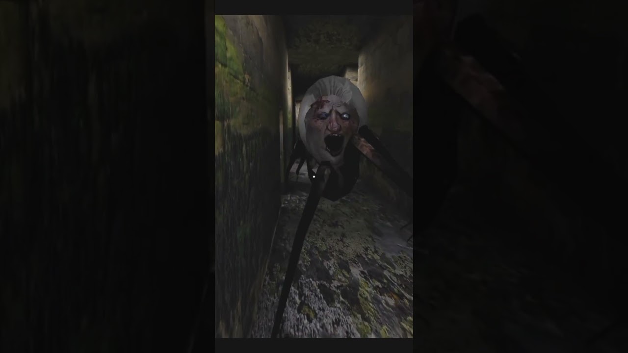 Part-1 Trying To Kill Granny's Spider Angelina | Granny | Horror gameplay | Angelina Spider.....