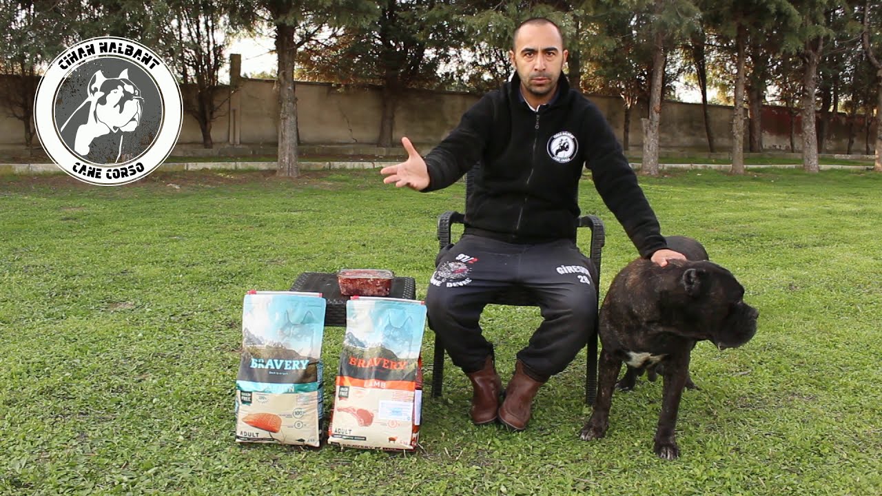 #CANECORSO / BARF DA YANLIŞ BİLİNENLER / MAMA TAVSİYESİ