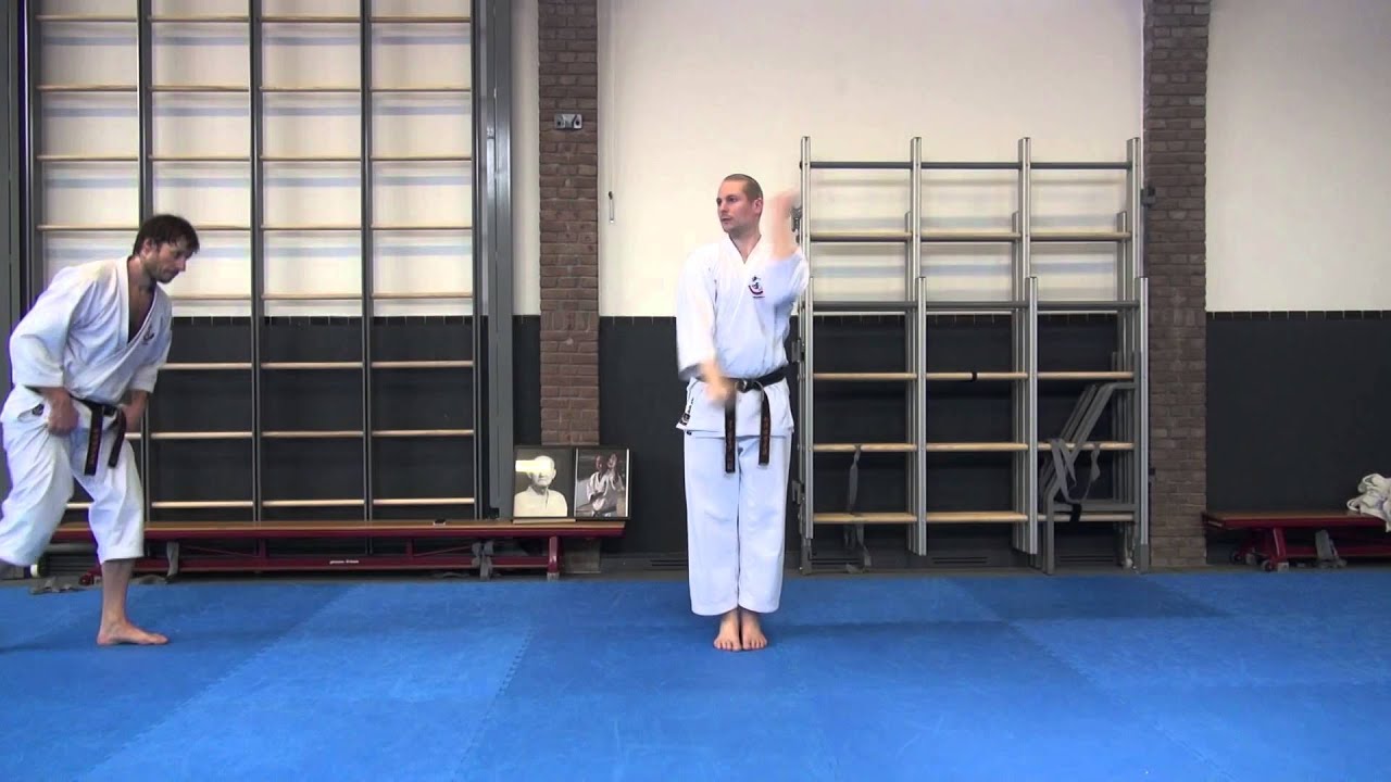 Wadokai Karate Seminar: Keri Uke (Kumite Gata)