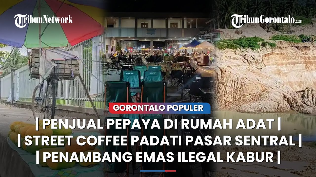 🔴GORONTALO POPULER ~ Opa Penjual Pepaya, Street Coffee, Penambang Emas Ilegal Kabur