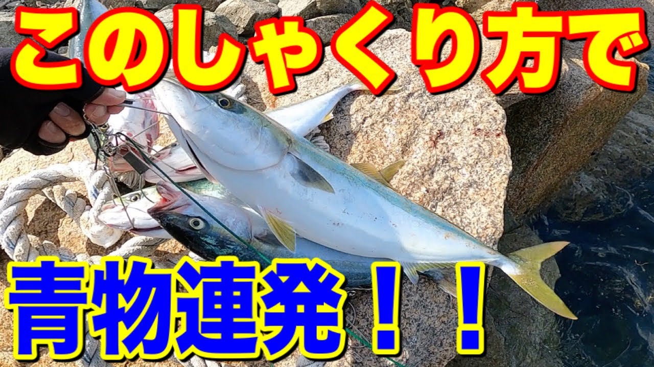 【ショアジギング】簡単！！釣れるしゃくり方と激投ジグの使い分けで青物連発！！