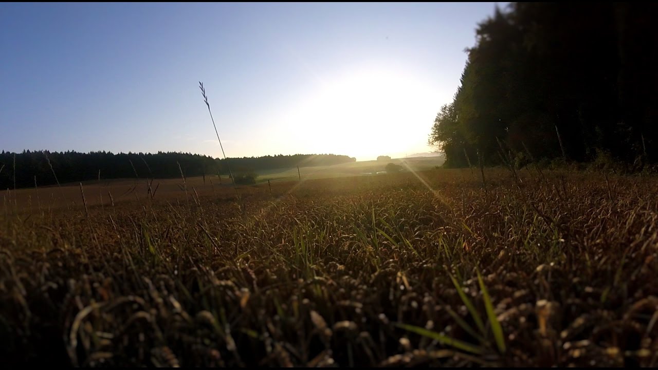 Schwarzwald Cross Tag 1 Klettgau nach Ehrenkirchen