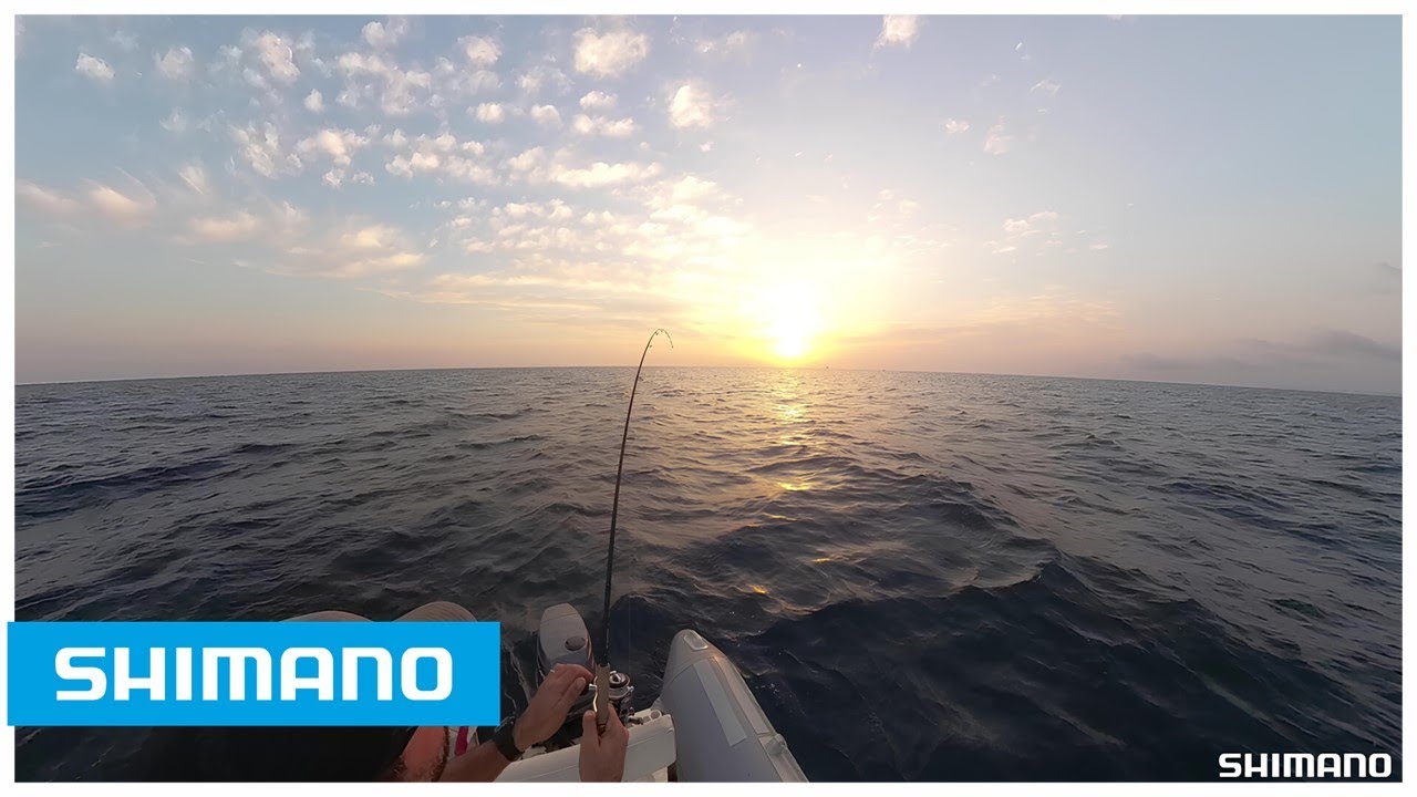 False Albacore & GLoomis IMX Pro Blue - Live Strike!