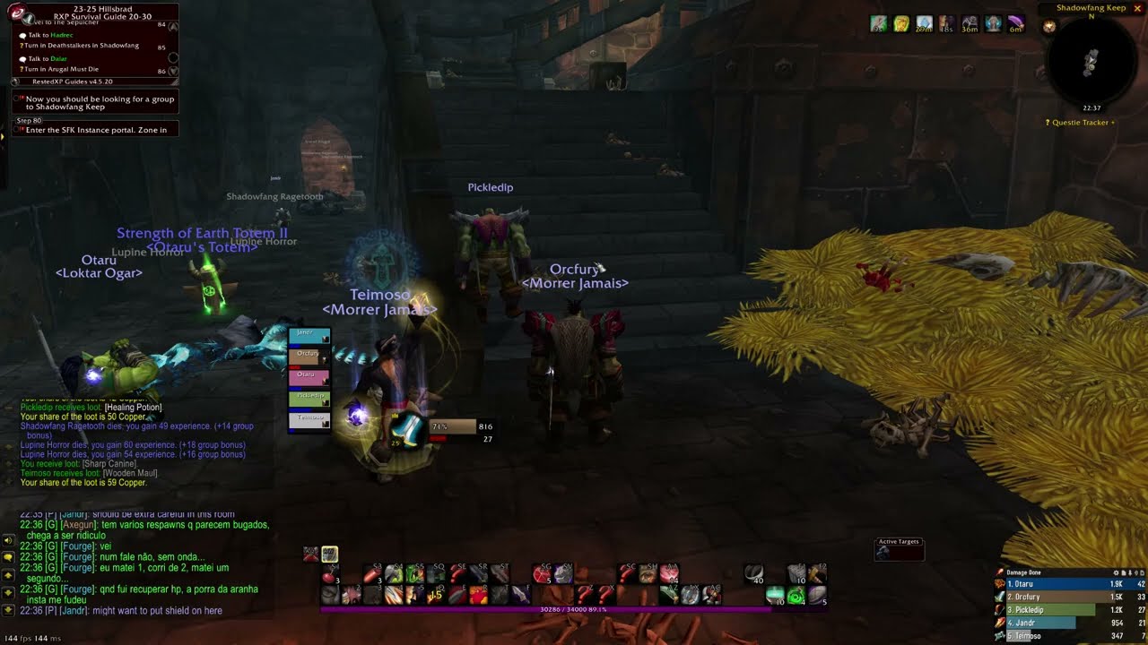 The Tank Experience - Classic WoW Hardcore