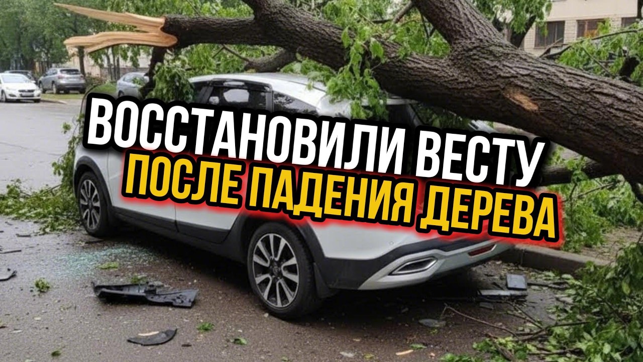 Восстановление лады после падения дерева.