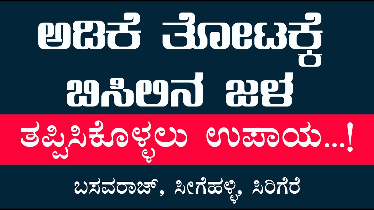 ಅಡಿಕೆ ತೋಟಕ್ಕೆ ಬಿಸಿಲಿನ ಜಳ ತಪ್ಪಿಸಲು ಉಪಾಯ Tips to avoid sun/Burn  damage to areca nut plantations,