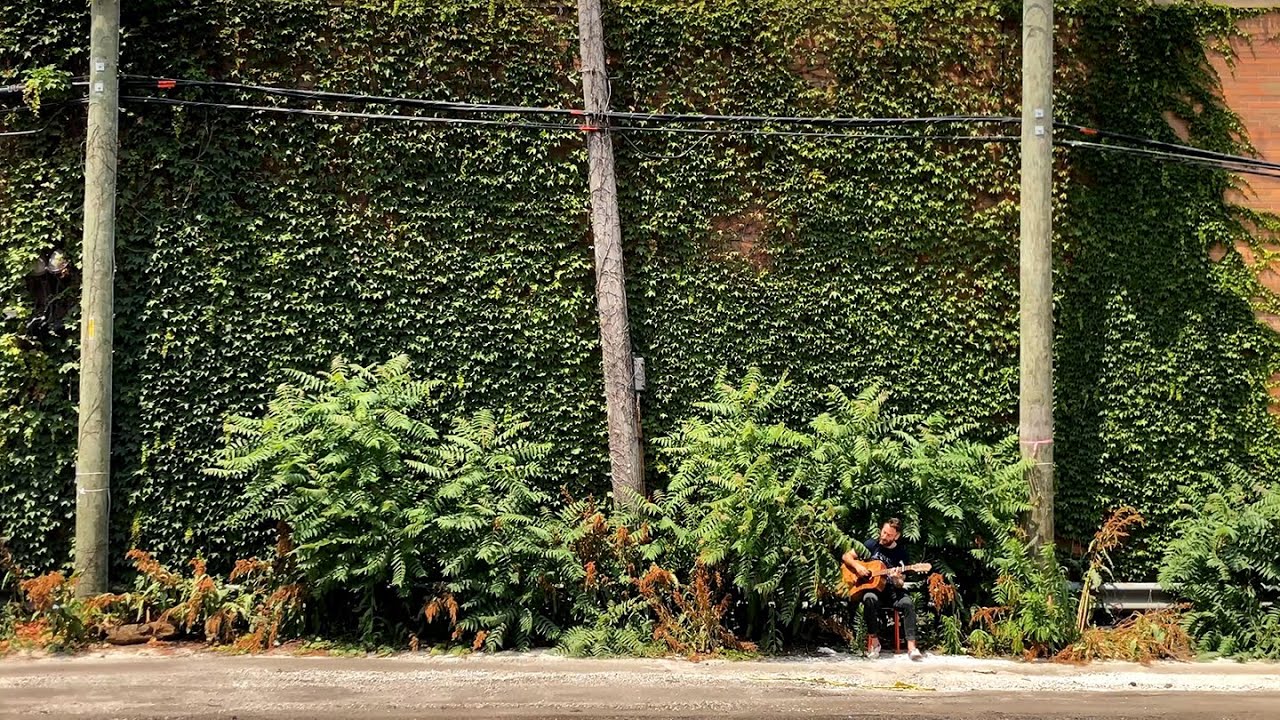 Owen - The Contours (Green Wall Alley) [OFFICIAL LIVE VIDEO]