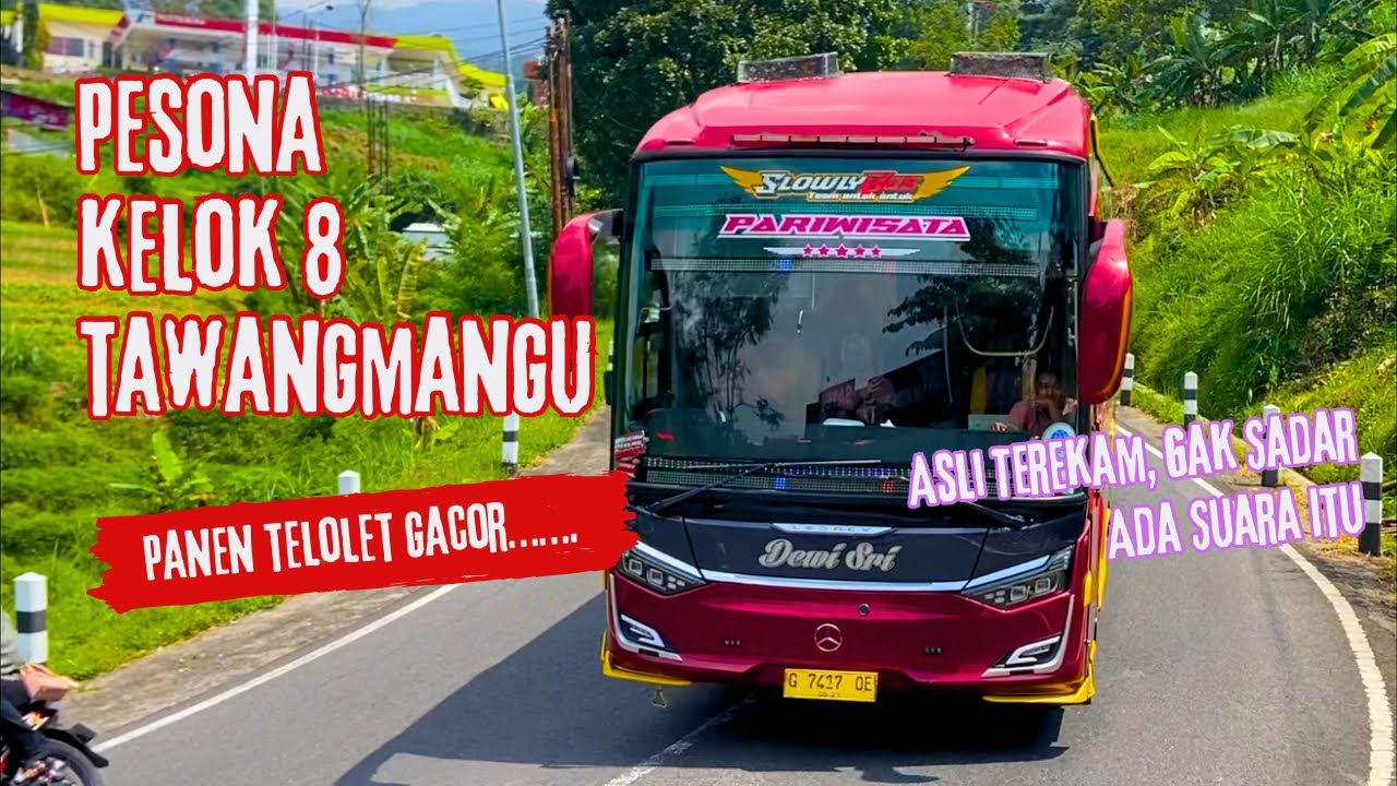 PANEN TELOLET ‼️ KALIAN TAU TEMPAT INI???