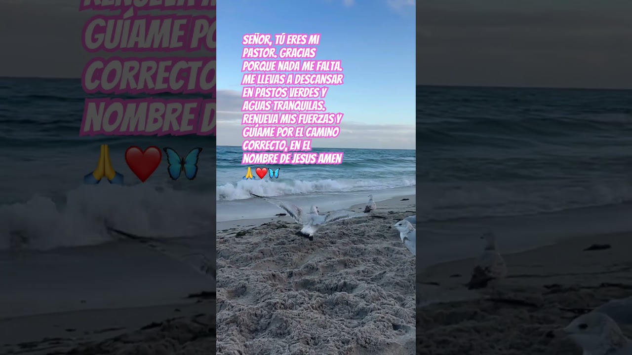 Salmo 23🦋🙏❤️🫶#bibleverse#wisdom #sabiduria#paz#mujeresvalientes#salmo23elseñoresmipastor#love