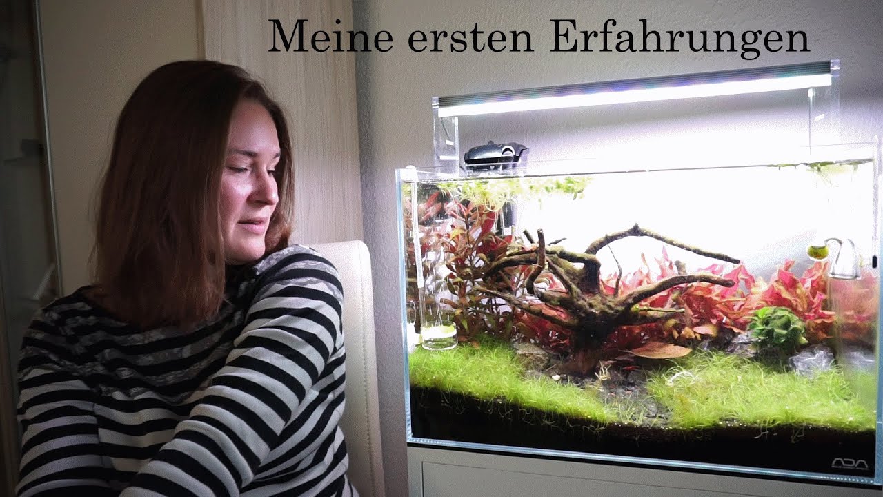 Aquascaping - Meine ersten Erfahrungen nach dem offiziellem Start - Hilfe Fadenalgen!