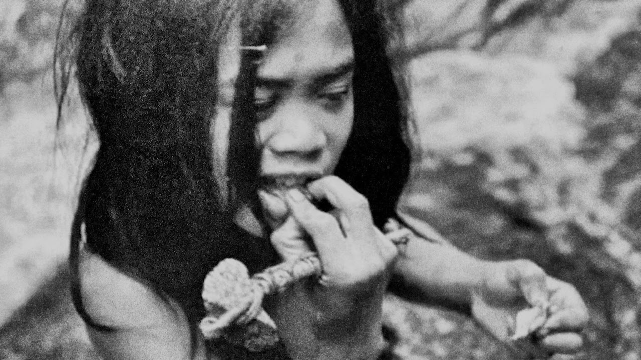 Tasaday: The Tenuous Tribe