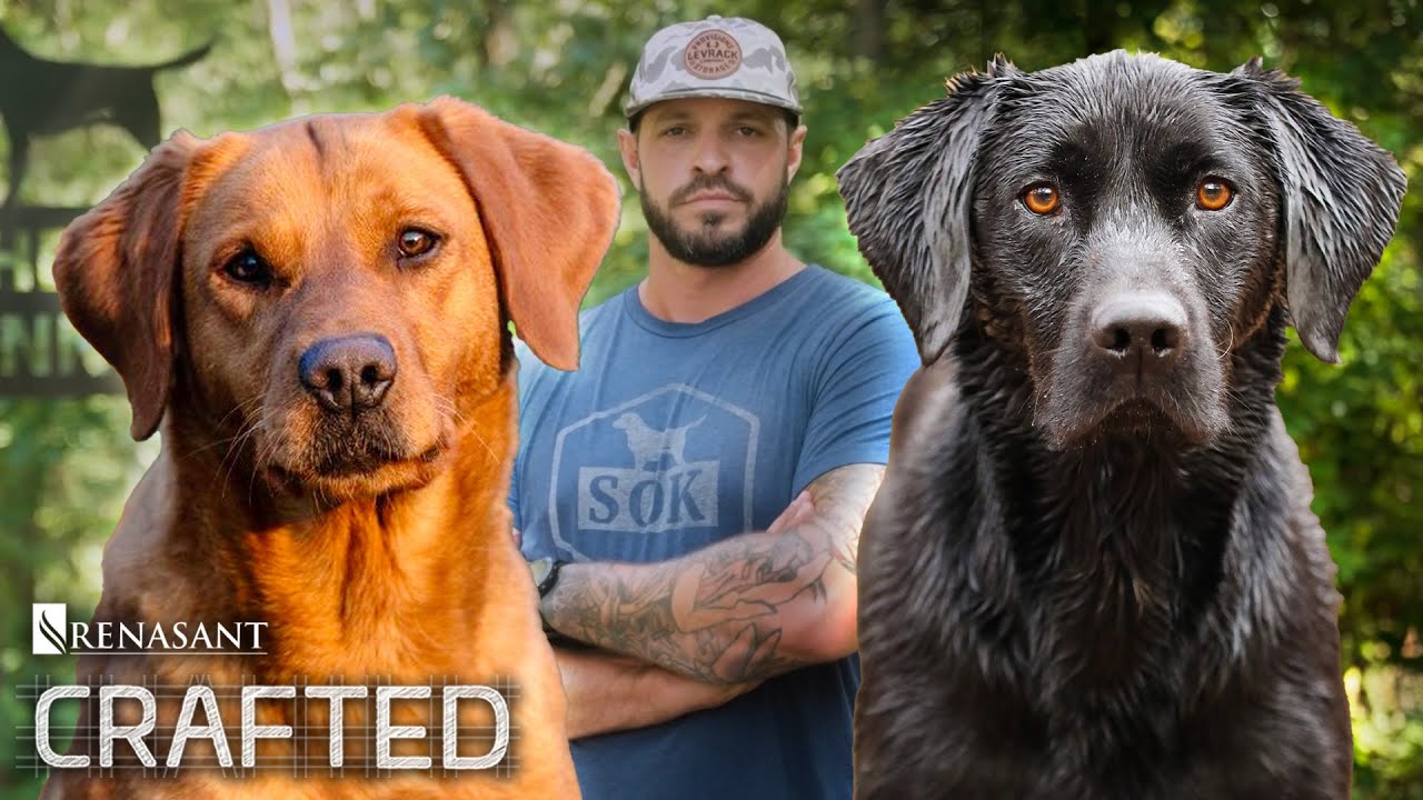How A Simple Dog Training Hobby Became a Business Sensation | Crafted