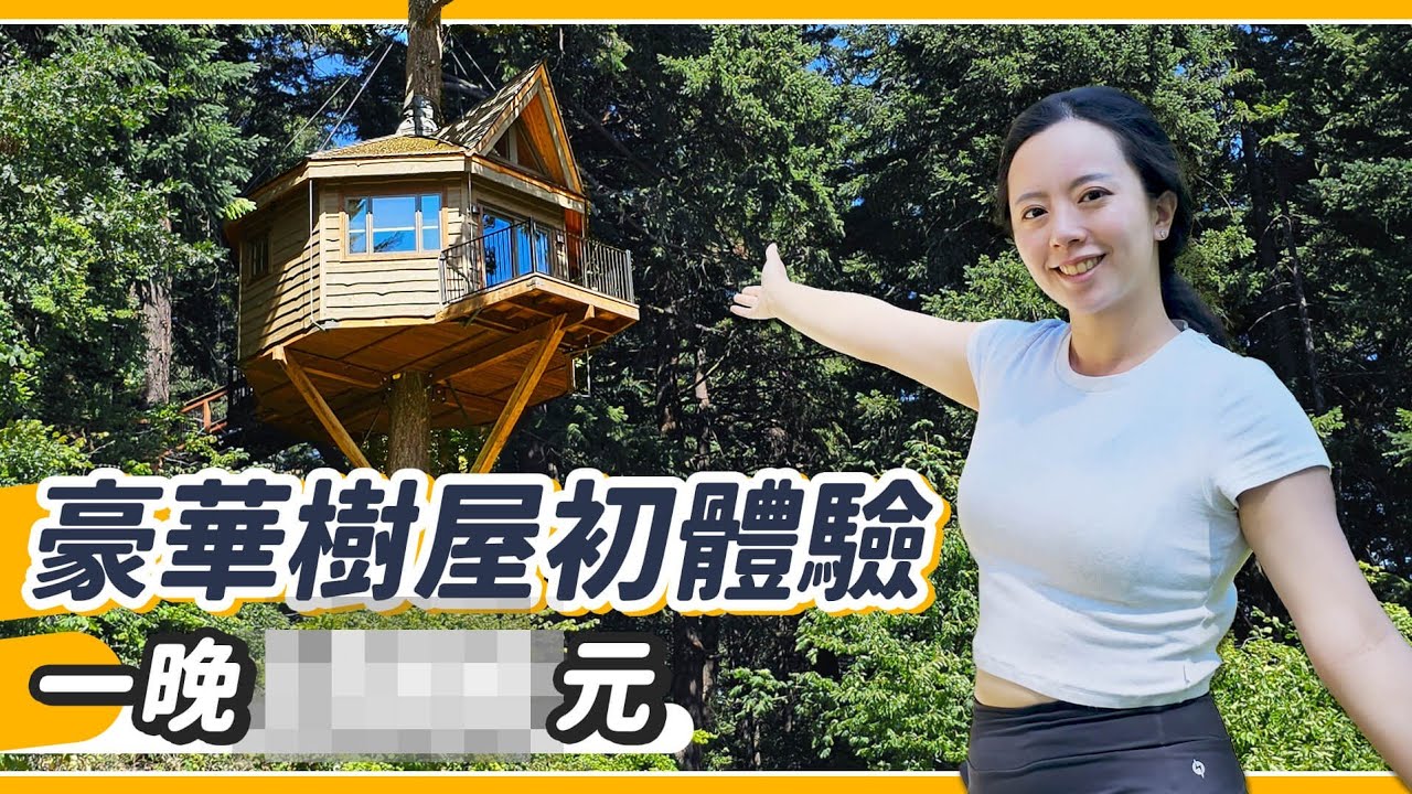 天價樹屋的夢幻體驗！隱藏景點的夏季愜意小旅行