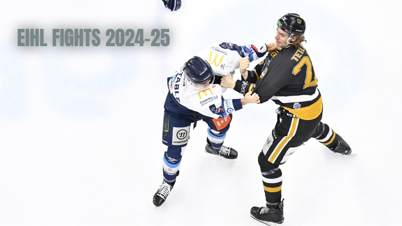 EIHL 2024-25 fights