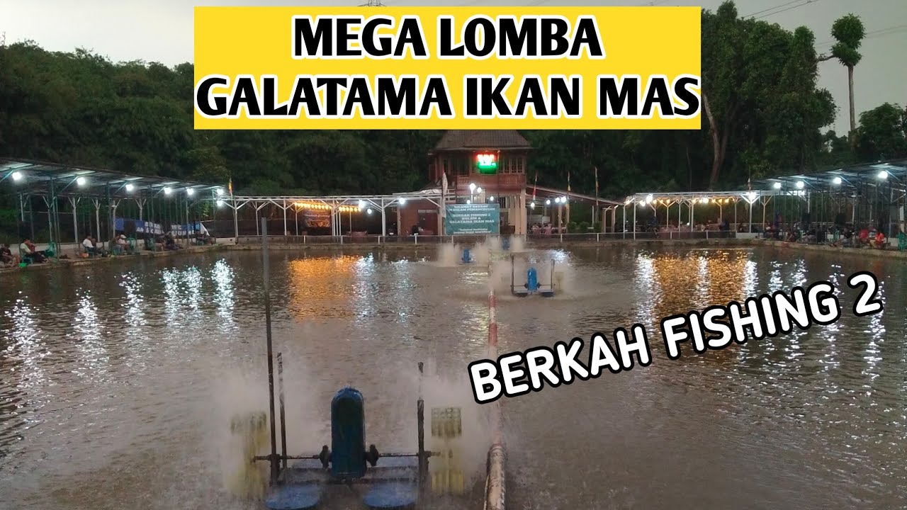 MEGA LOMBA GALATAMA IKAN MAS BERKAH FISHING 2