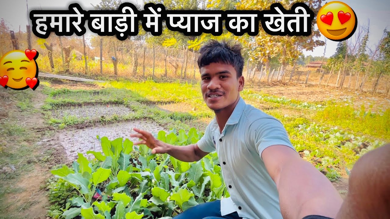 Hamare Badi Me Pyaj Or Gobhi Ka Kheti😍