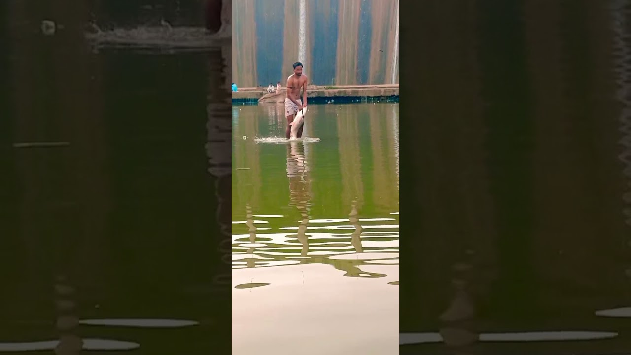 Rawal dam door side amezing fish very big#rawaldam #mangladam #khanpurdam #terbeladam
