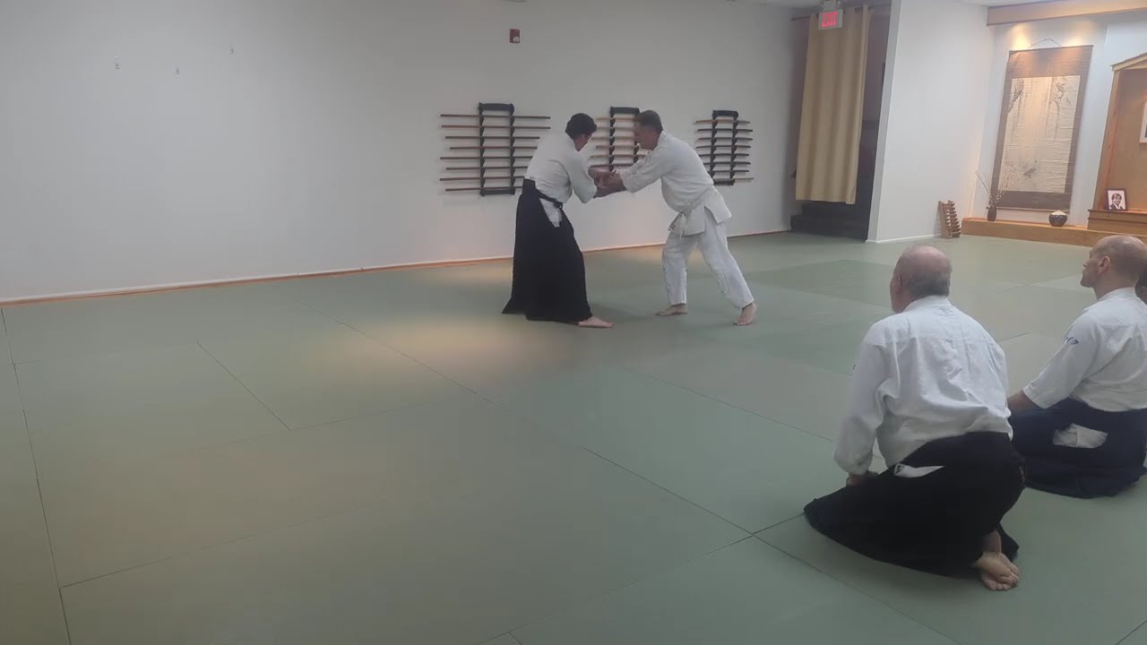 Aikido - ryotedori shihonage omote and ura (instructional)