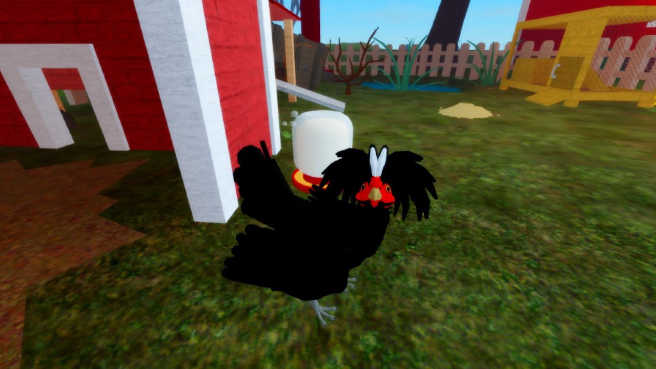 Trying out new Chicken skin in Feather Family. 