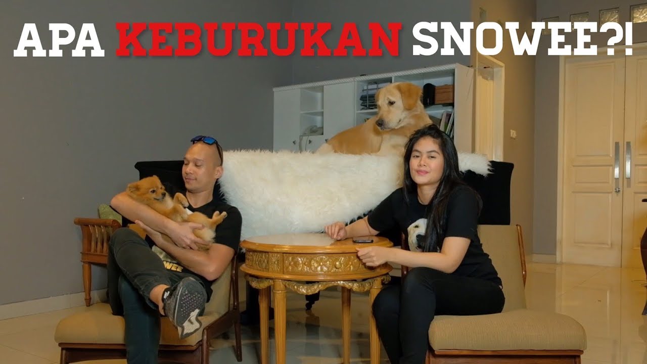 APA KEBURUKAN SNOWEE? KNP PILIH NAMA SNOWEE? (Q&A Part 1) | SNOWEE THE GOLDEN