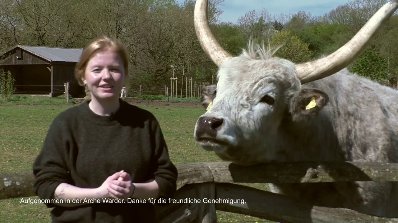 PROVIEH erklärt - Alte Nutztierrassen