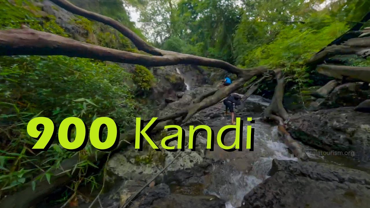 900 Kandi: A Serene Sanctuary in Wayanad