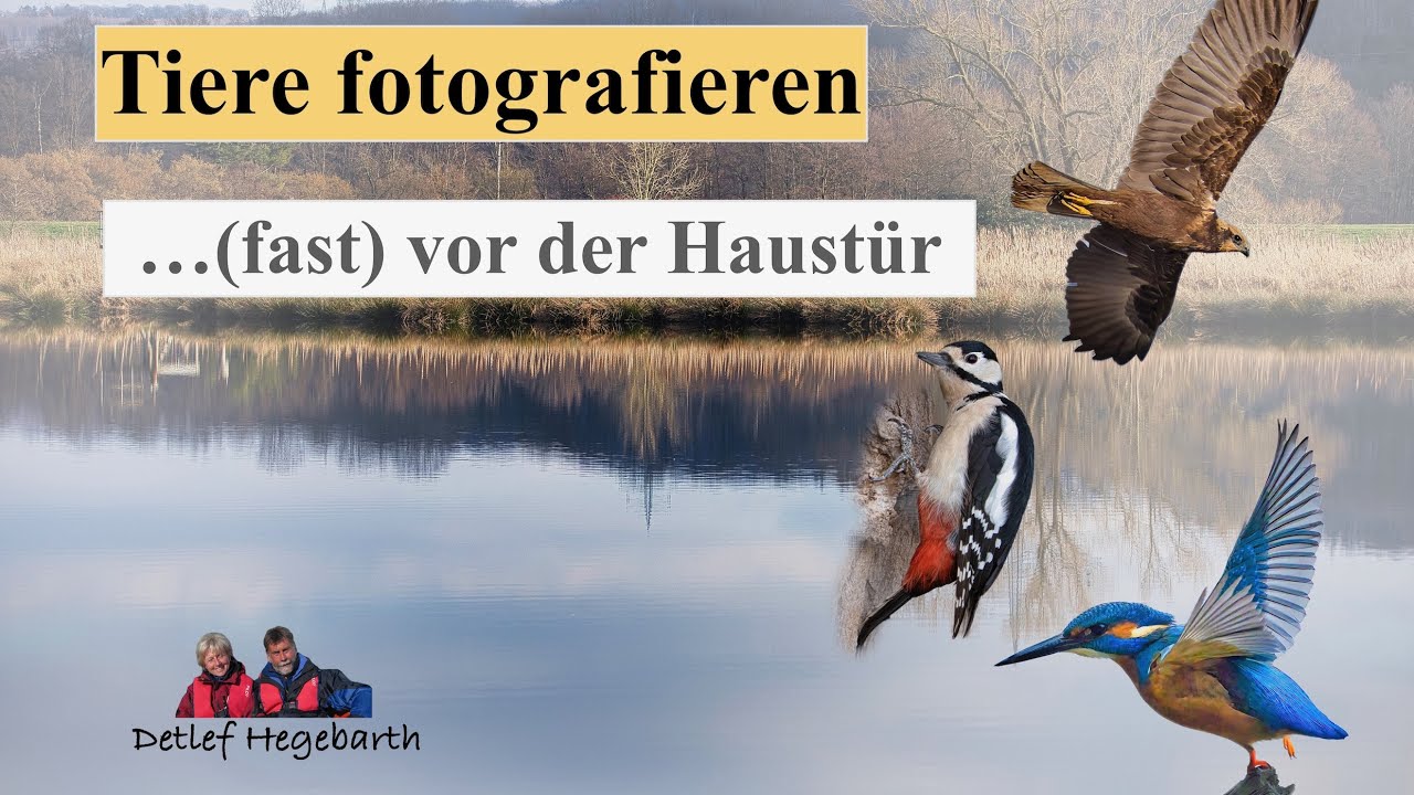 Tiere fotografieren .. (fast) vor der Haustür v3