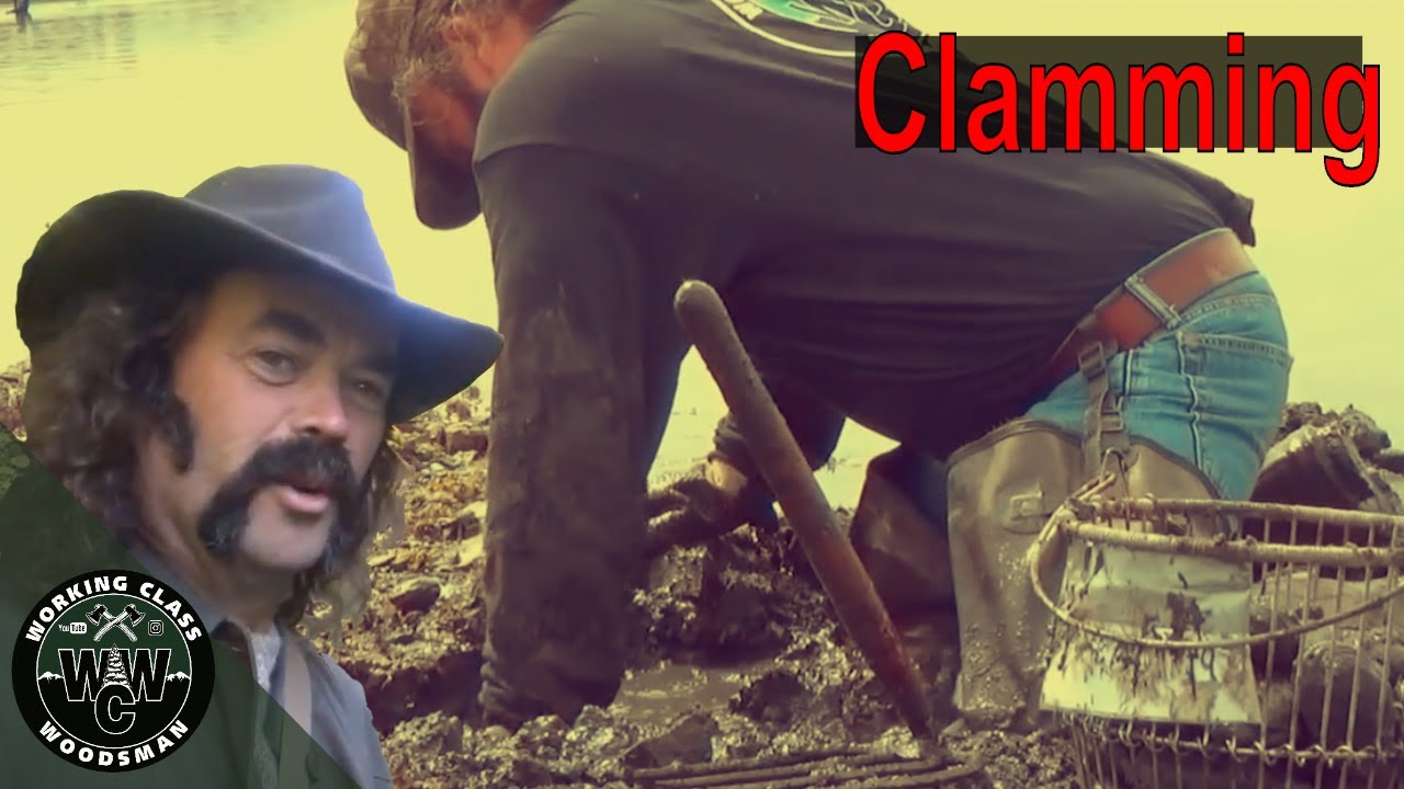 Clam Digging in New Hampshire (Dig & Clean)