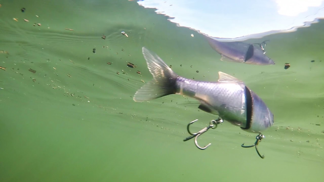 How to use a Glide Bait with Nick 