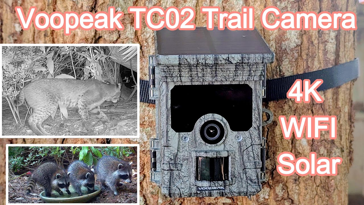 Обзор солнечной фотоловушки Voopeak TC02 4K WIFI #trailcam