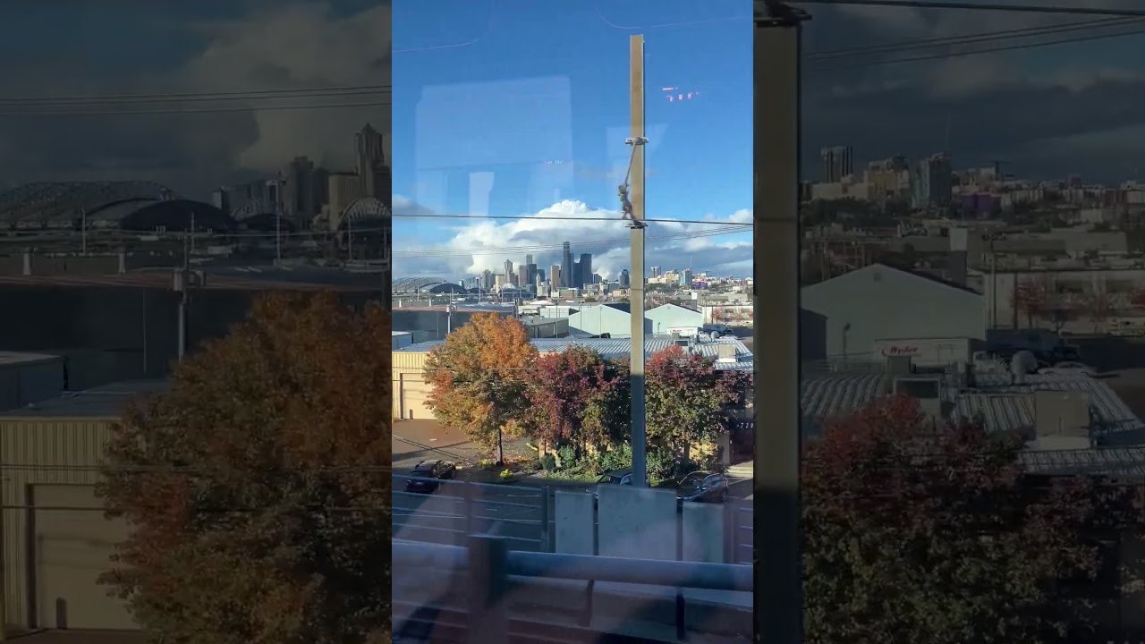 Downtown Seattle Skyline From Link Light Rail Train #shorts #trains #lightrail #publictransport