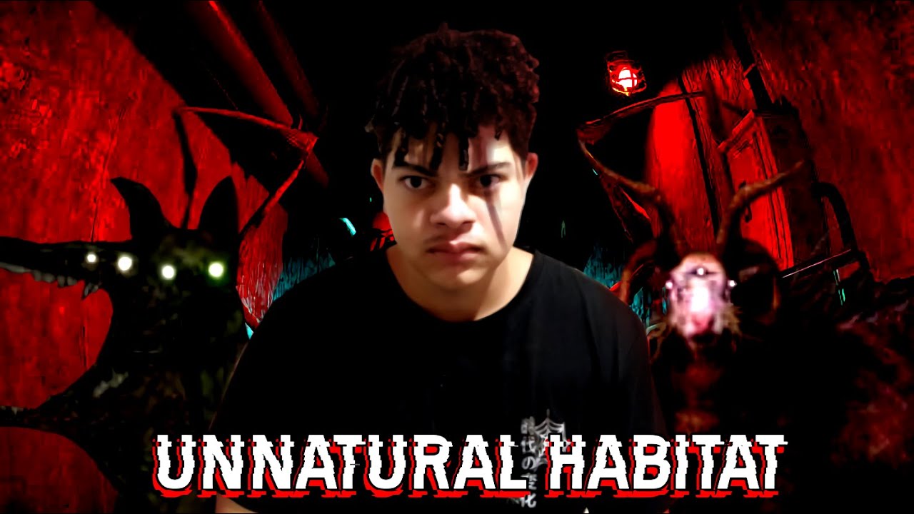 Um dos Melhores Analog Horrors Que Eu Já Vi