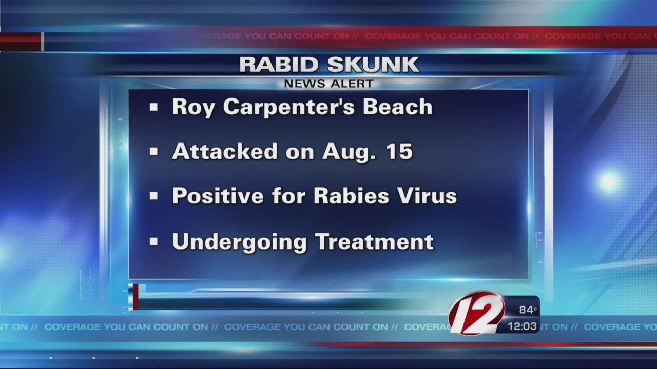 Rabid skunk found in South Kingstown
