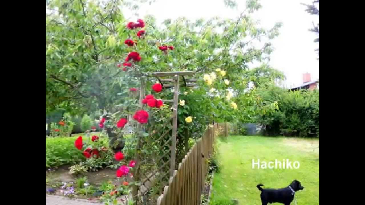Musik entdecken