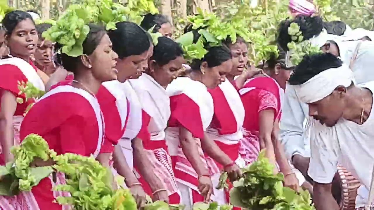 फादर लिवांस के आदर में बर्वे राज़ी 