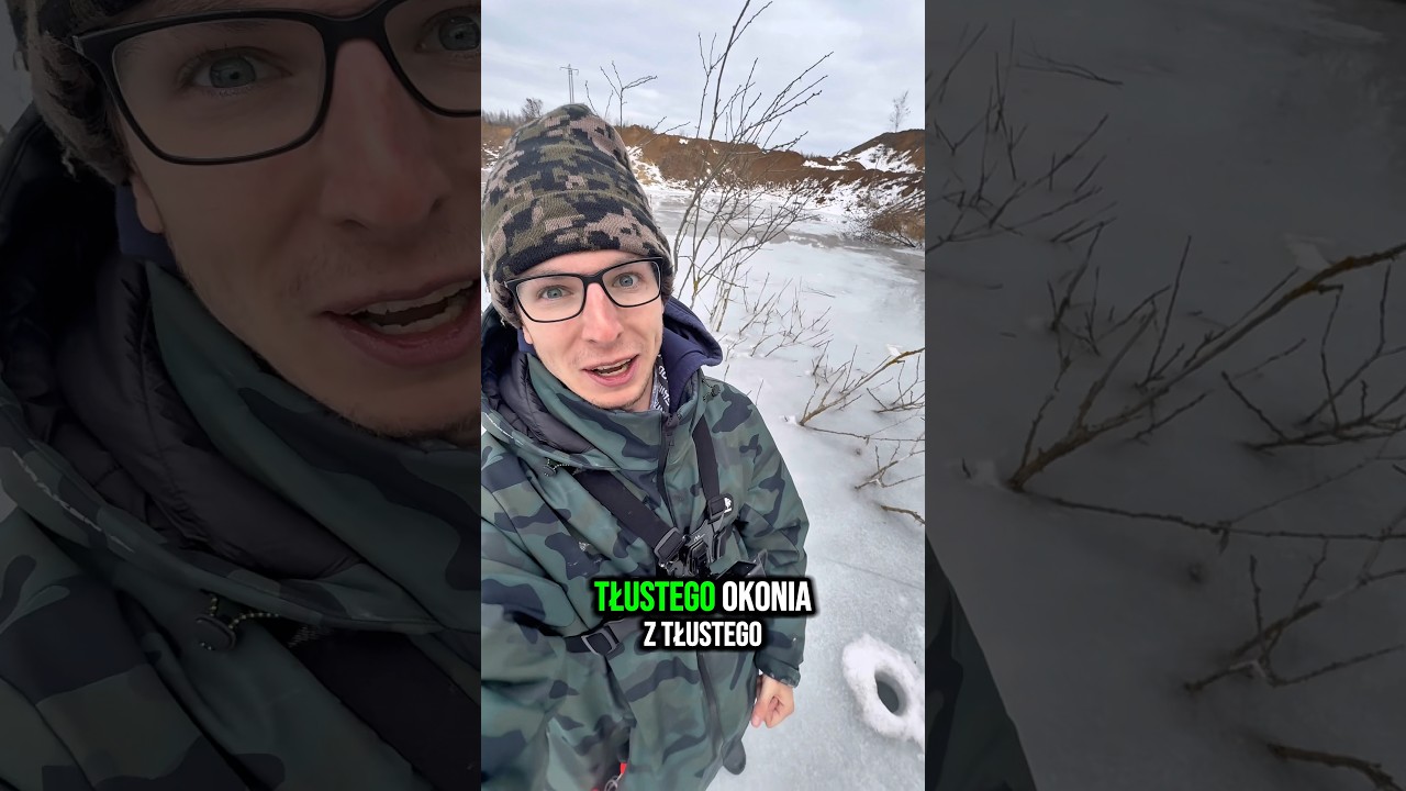 Sunken Tree and Fat Fish #shorts #fishing