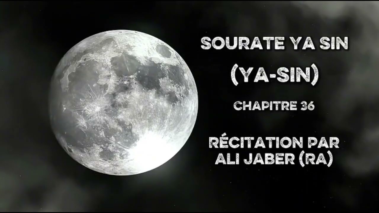Ali Jaber | Sourate 36 Ya-Sin (Ya Sin) - Noble Coran