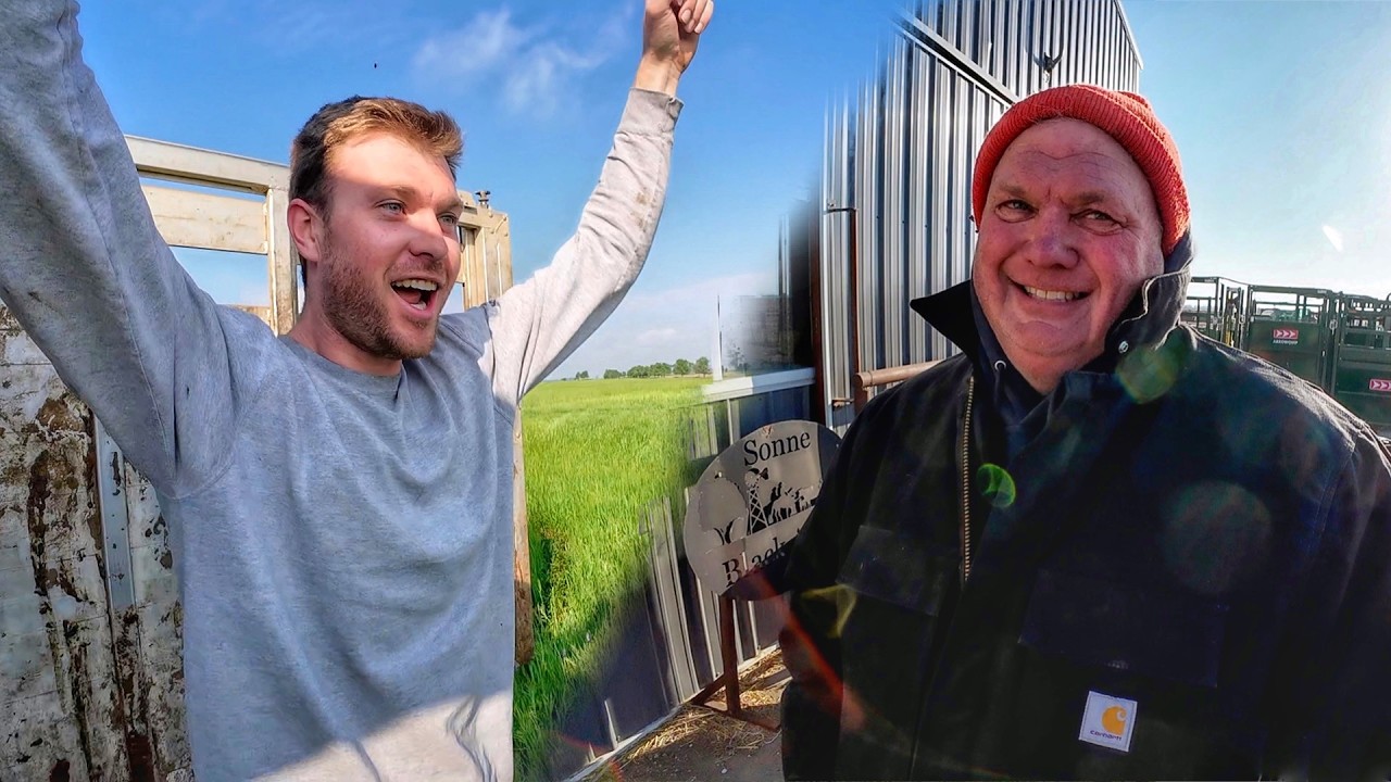 Best 2025 Sonne Farms Moments
