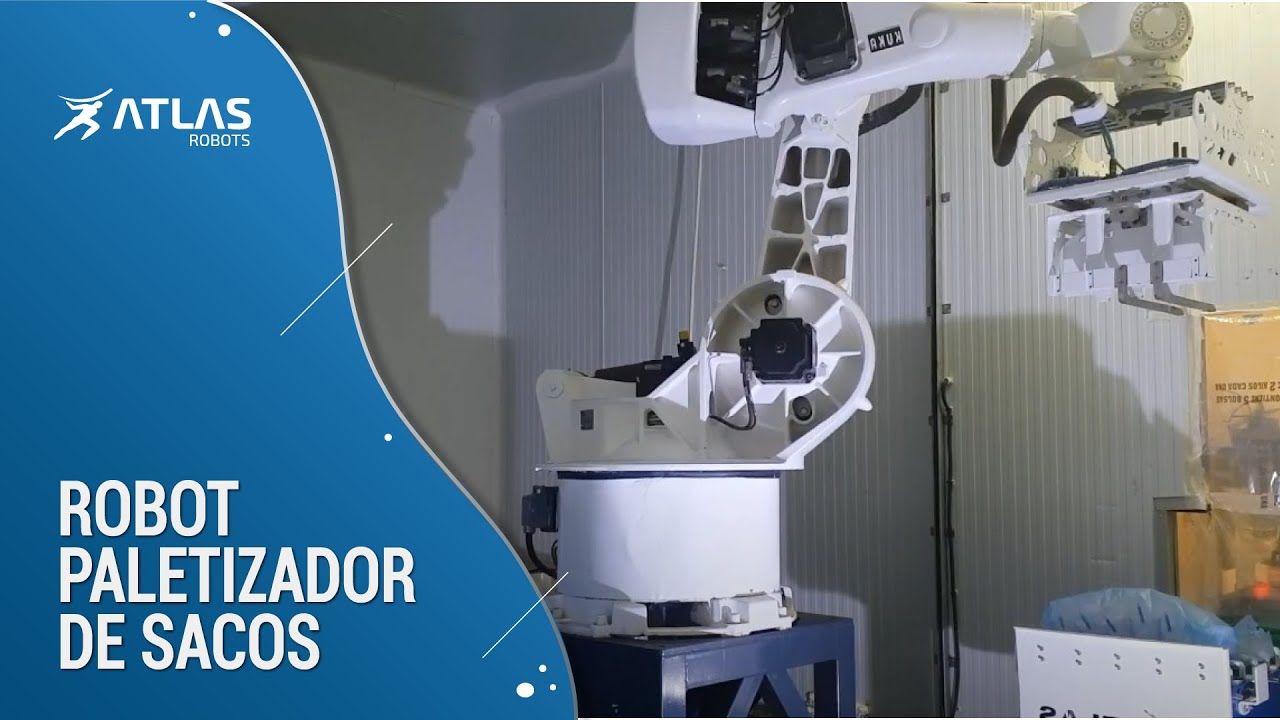 Paletizador de hielo - robot para paletizar sacos de hielo