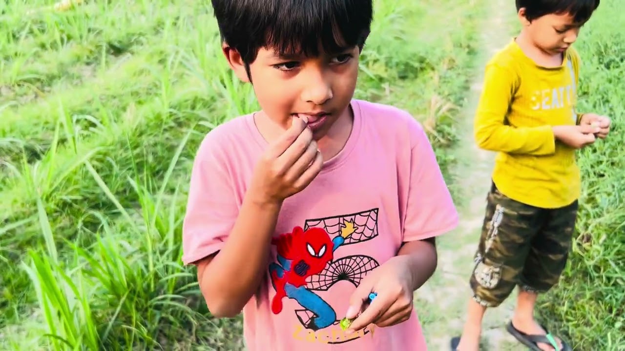 চাষের  ক্ষেত ভিজিট #popular #cow 