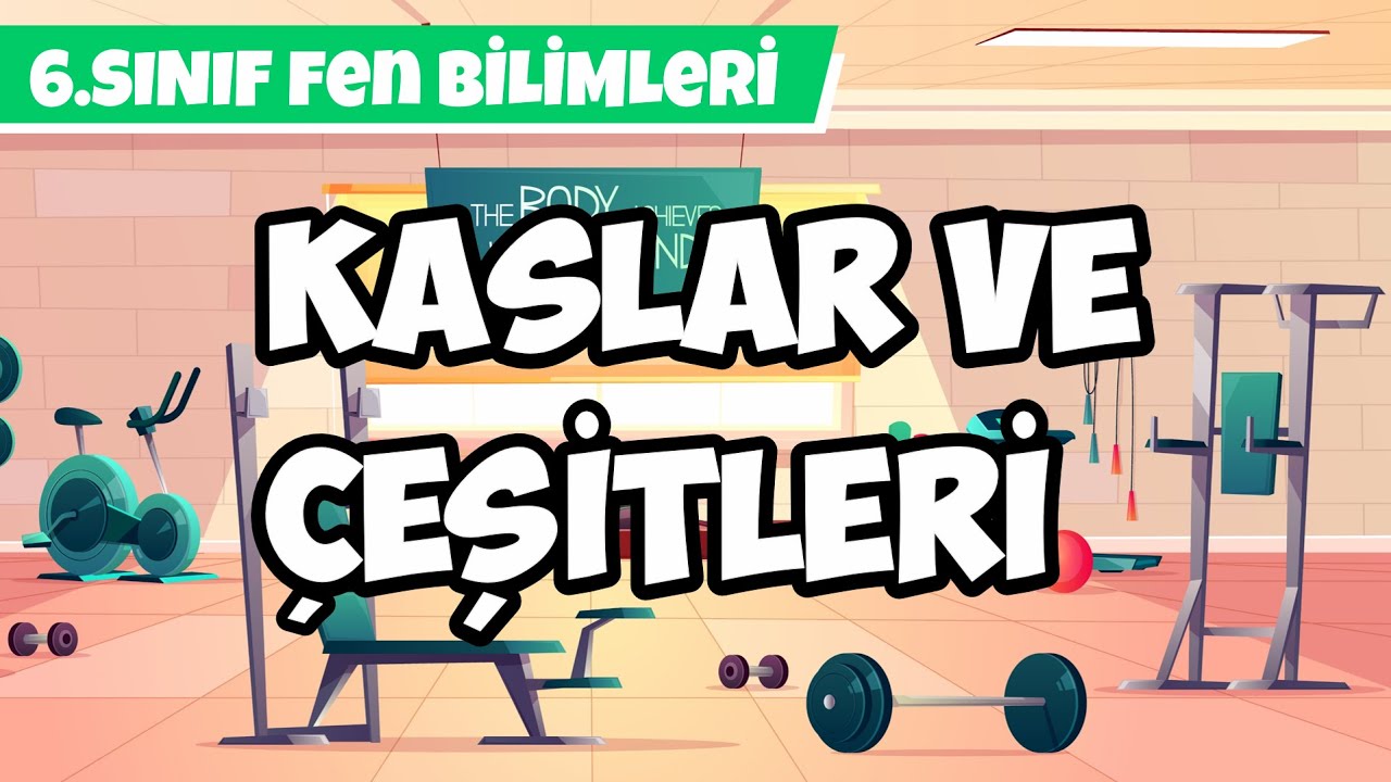 Kaslar ve Çeşitleri | 6. Sınıf Fen Bilimleri #2024