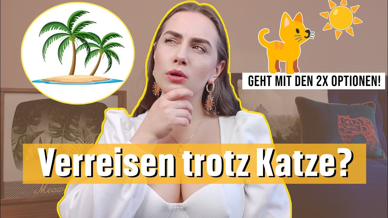 Verreisen trotz Haustier? / Wohin mit der Katze im Urlaub? / Katzentipps - Amely Rose