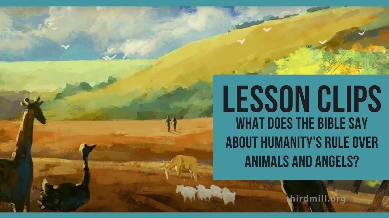 Lesson Clips: What Does the Bible Say About Humanity's Rule Over Animals and Angels?
